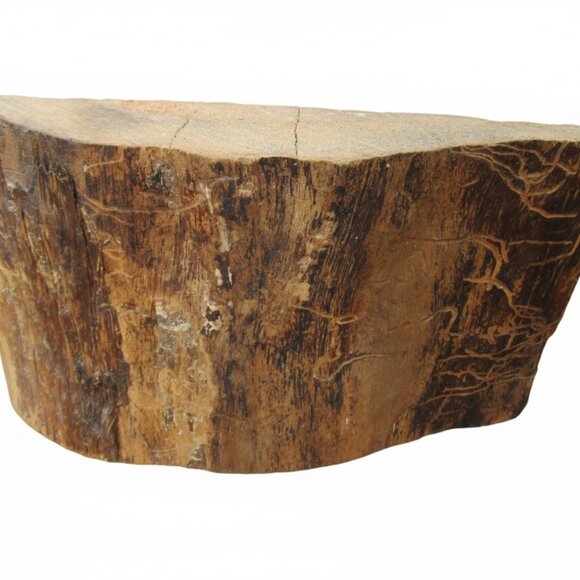 Hand-Painted Wood Art, Original Deer Fawn Painting, Rustic Cottagecore Decor - Picture 7 of 11